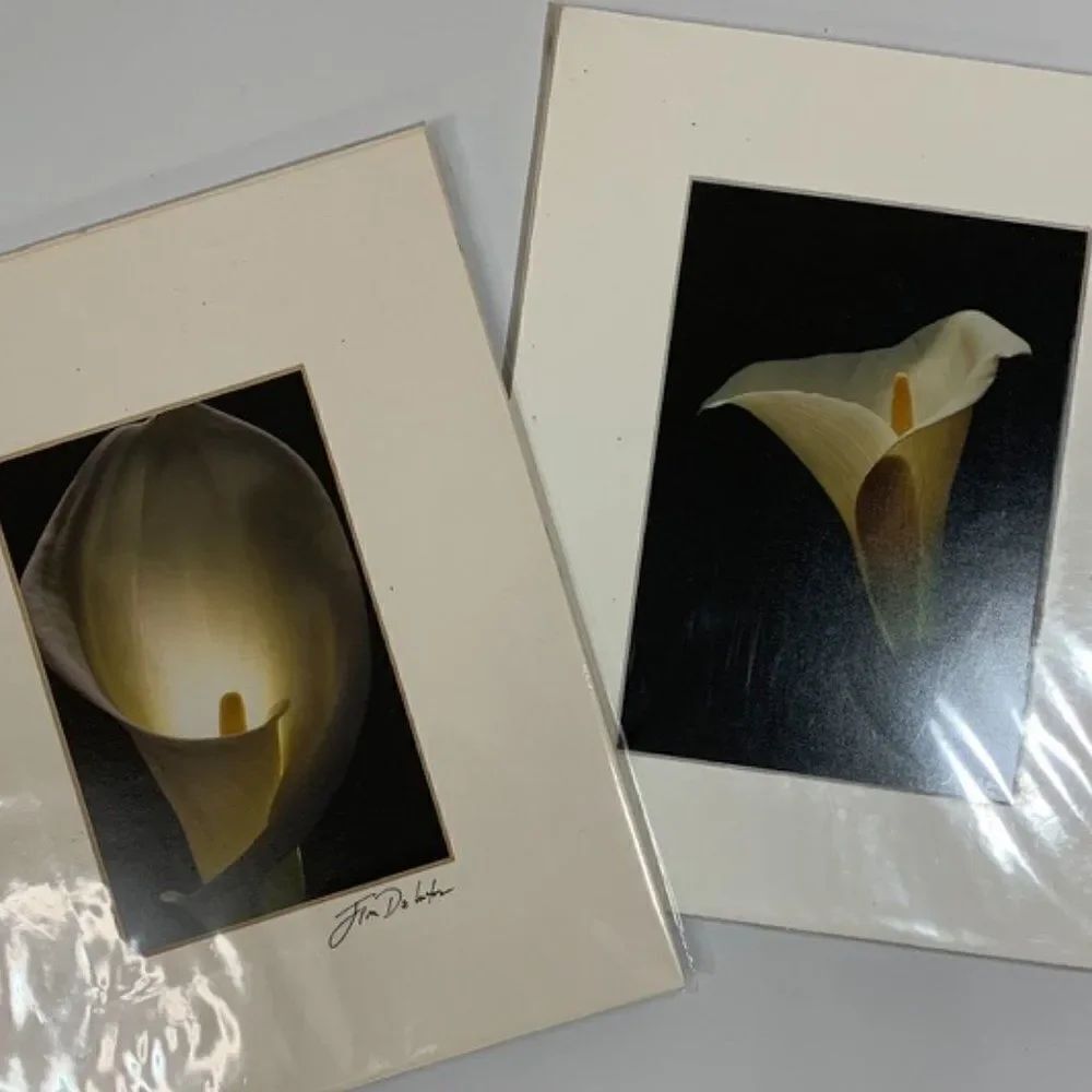 Jim DeLutes Photography - 2 set Calla Lily Photographs